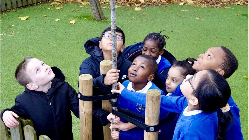 Children at Lowfield Primary School beside rowan tree