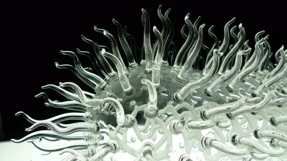 Glass E.coli sculpture by Luke Jerram