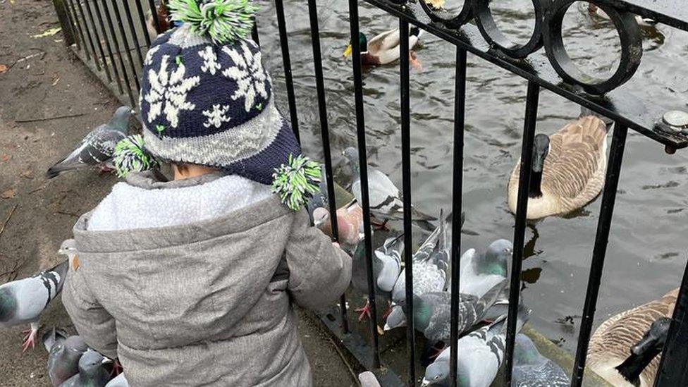 A boy feeds ducks in a park