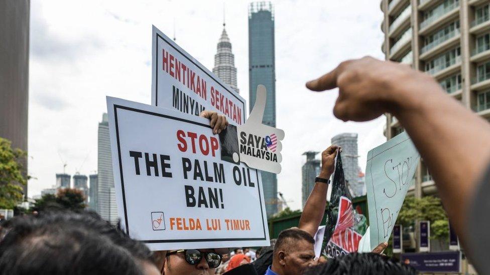 Farmers in Malaysia are worried about a possible EU ban on use of palm oil in bio-fuels