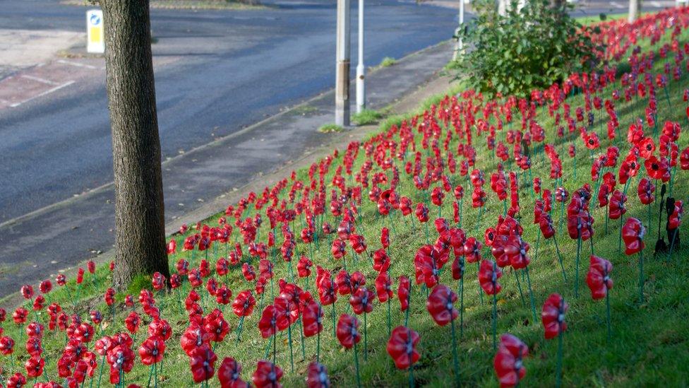 Stourbridge poppies