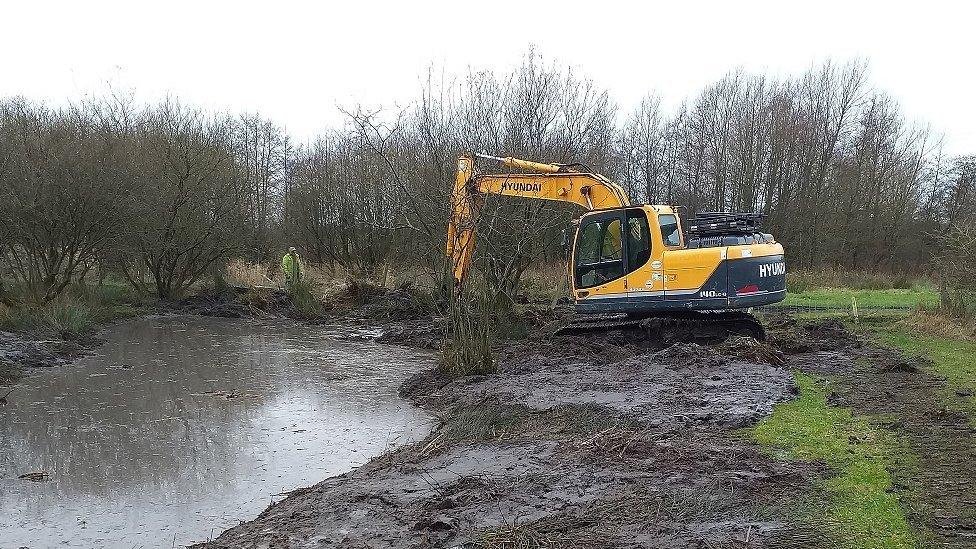 Pond being restored