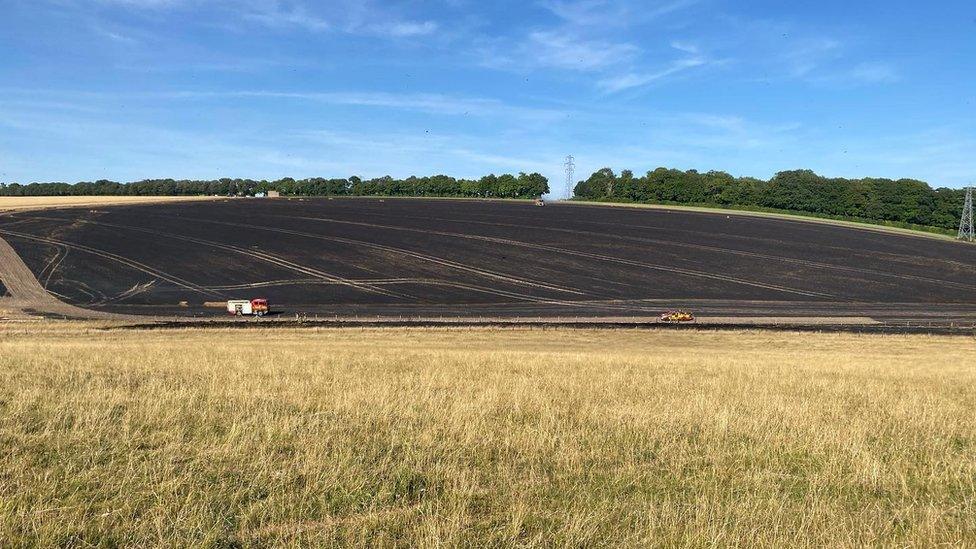 Burnt field following the fire