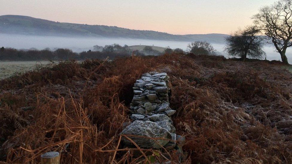 Frosty morning at Gwern y Domen, Caerphilly