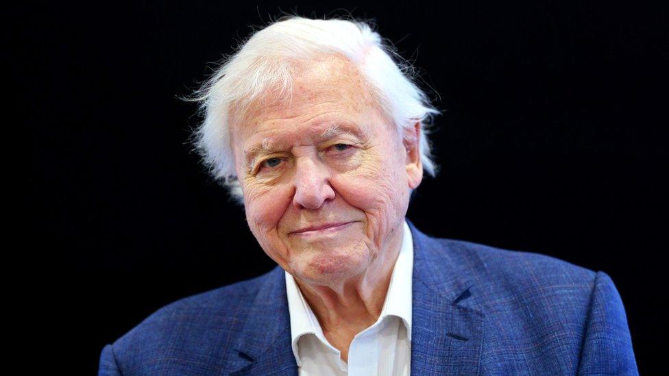 David Attenborough