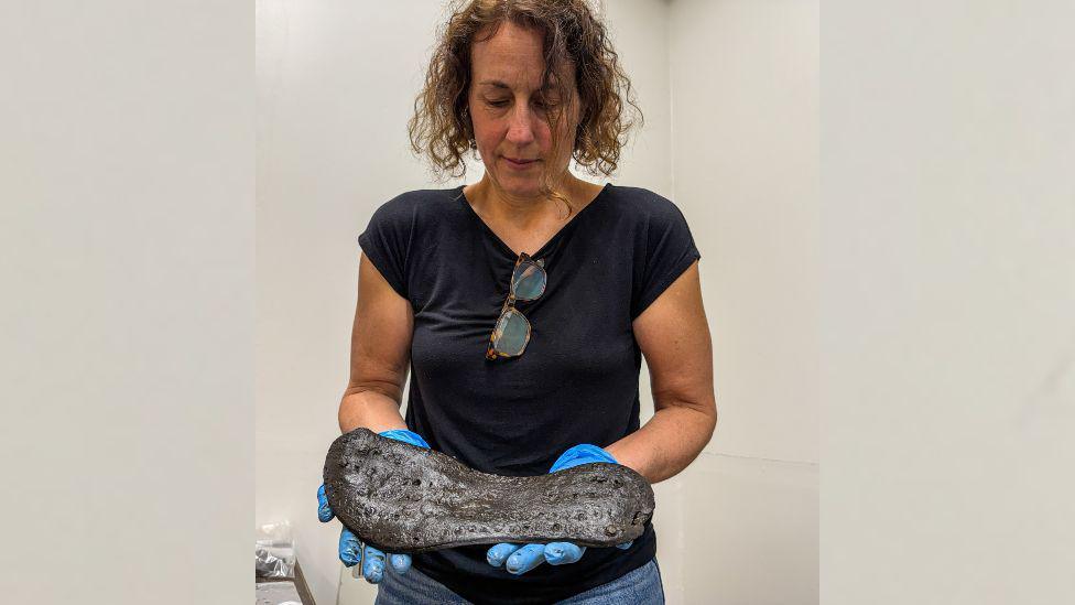 Dr Elizabeth Greene wearing a black T-shirt and blue gloves with sunglasses hanging from her top. In her hands are the sole of a large black shoe. 