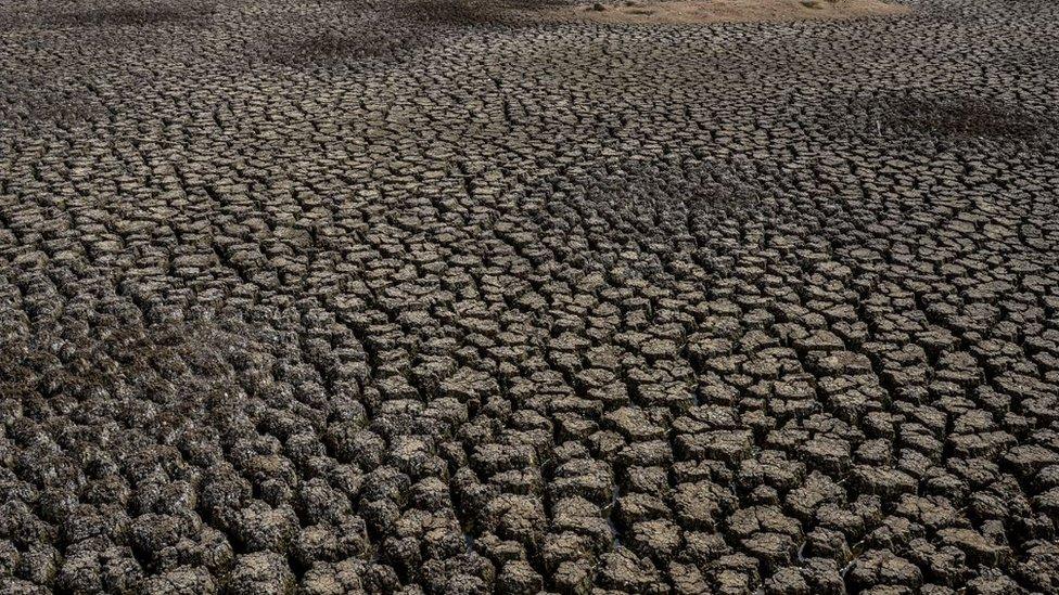 Dry bed of Chembarambakkam lake in the outskirts of Chennai