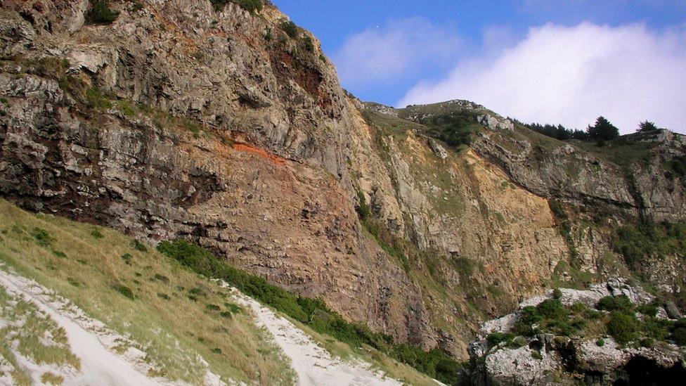 Coastal cliffs at the entrance to Otago harbour