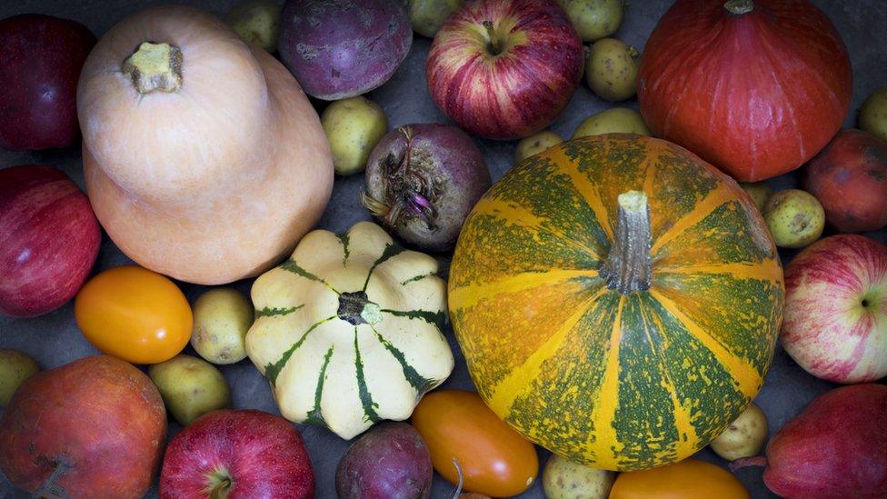 Harvested vegetables.