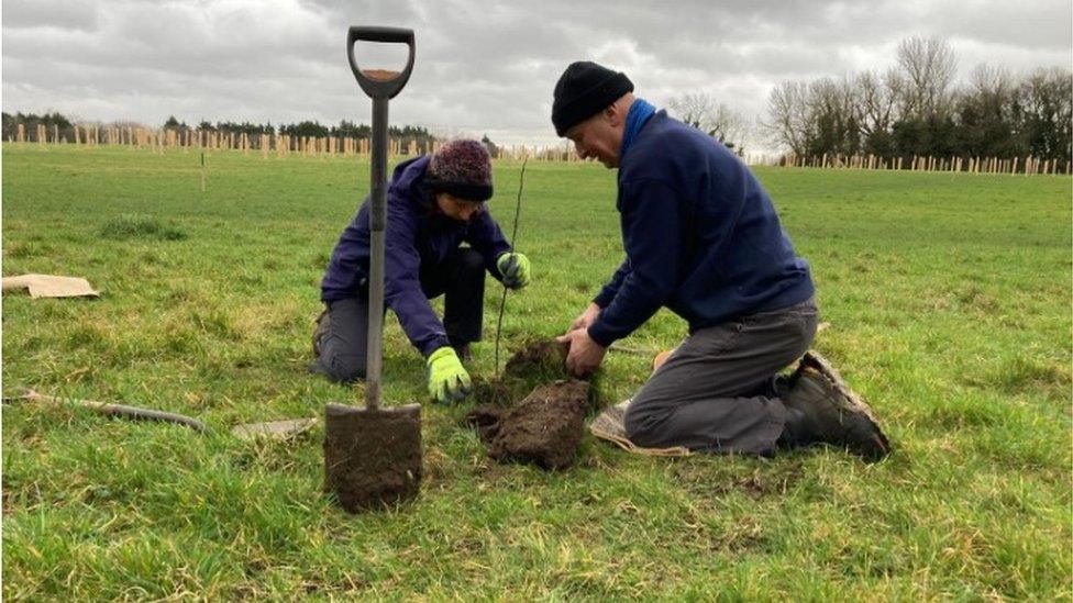 Volunteers planting trees at Stanton Park