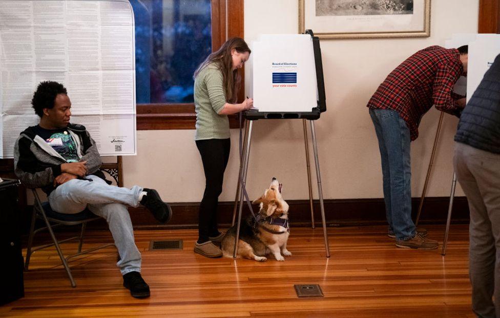 A dog named Daisy looks on as their owner fills out a ballot in a polling place at the Cincinnati Observatory on 5 November 2024 in Cincinnati, Ohio