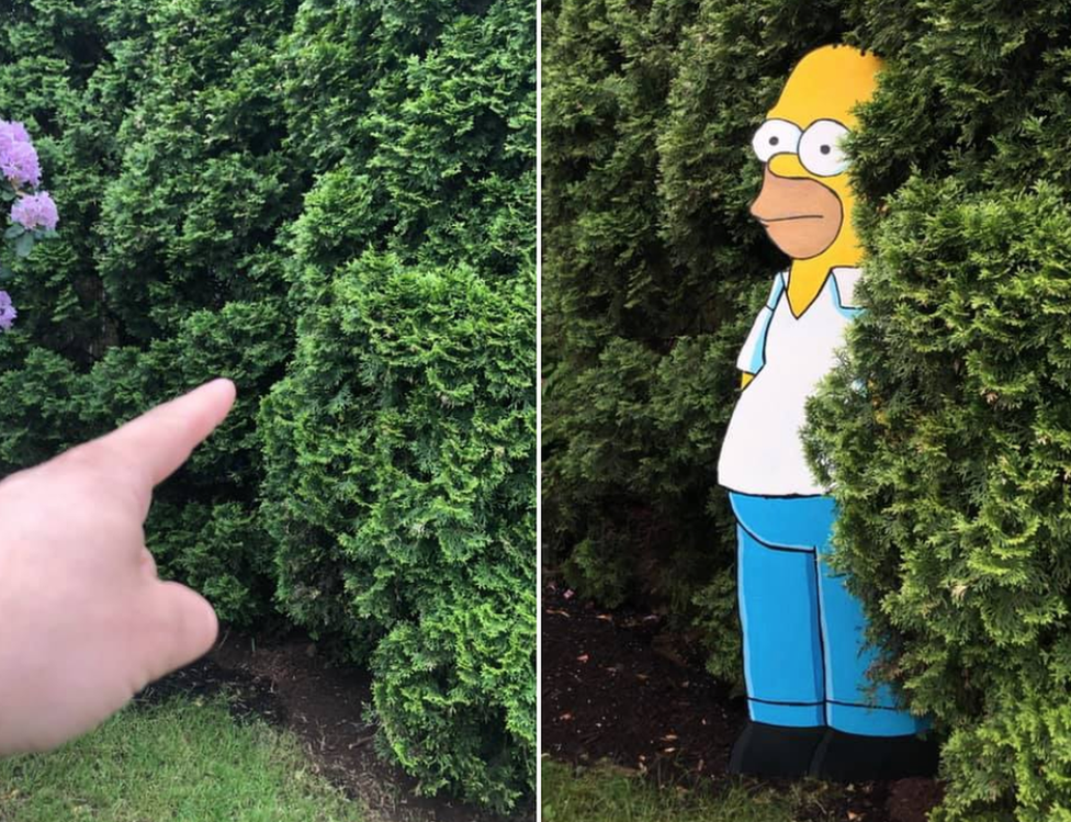 ˿ Simpson in a bush