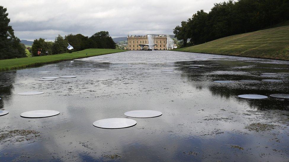 Bruce Munro's work features 108 stainless steel water lilies