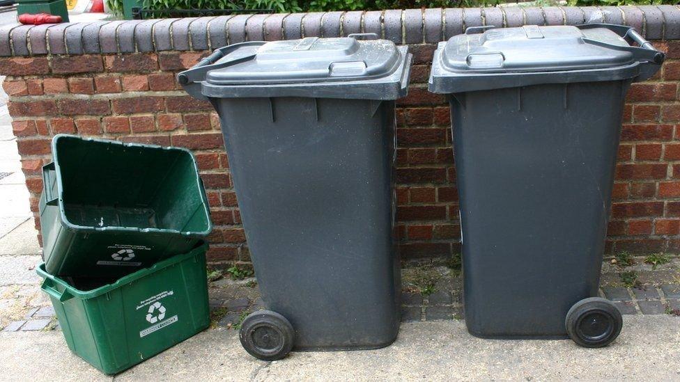 Bins waiting for collection from a street