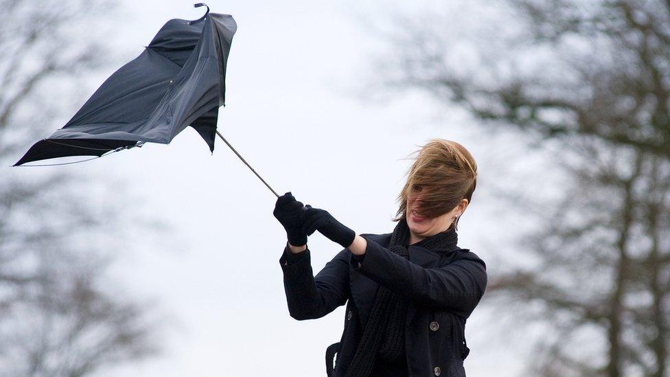 Windy day