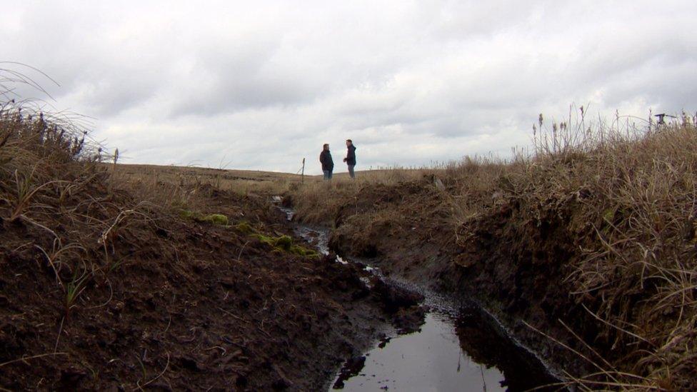 Environmental groups fear Northern Ireland could be left behind when it comes to protecting important animals and habitats after Brexit.