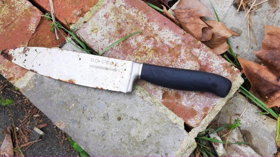 A kitchen knife with a black handle
