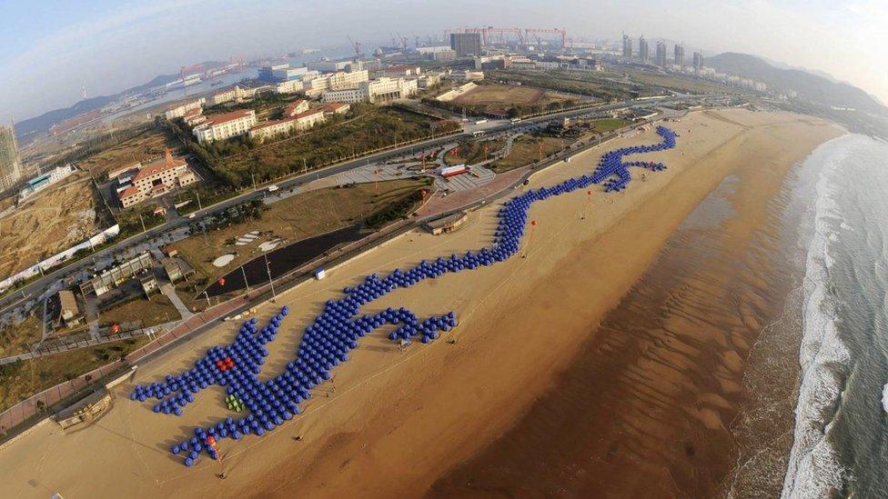 Aerial shot of dragon on beach