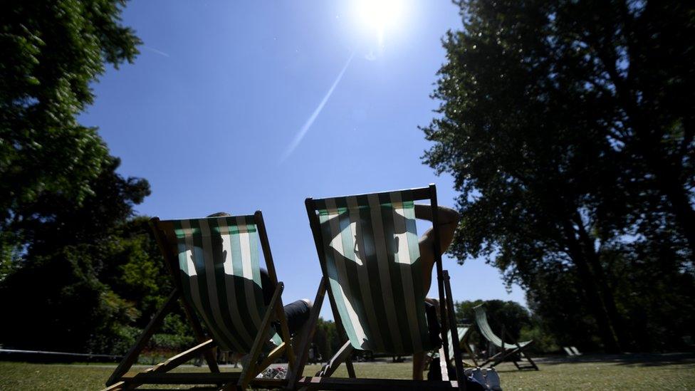 Deck chairs in park