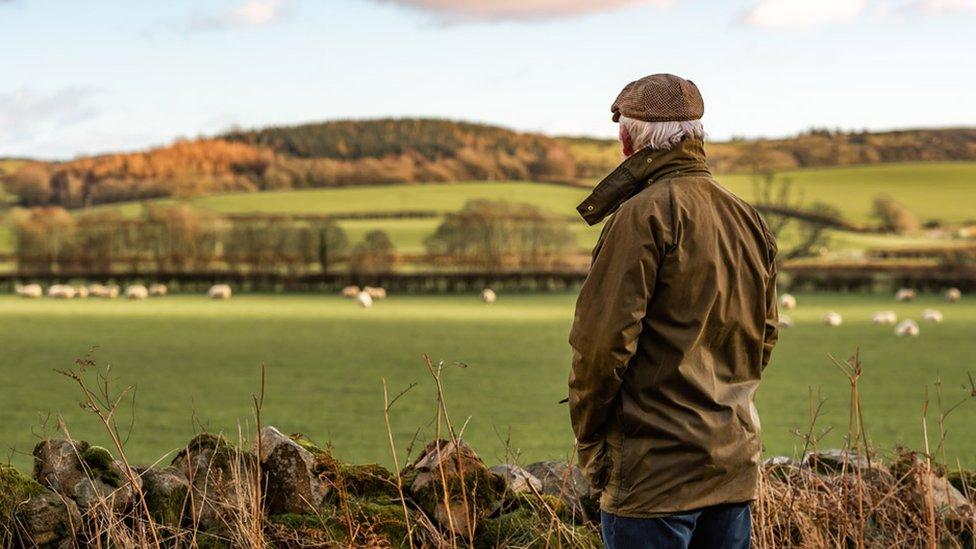 Elderly man in Dumfries and Galloway