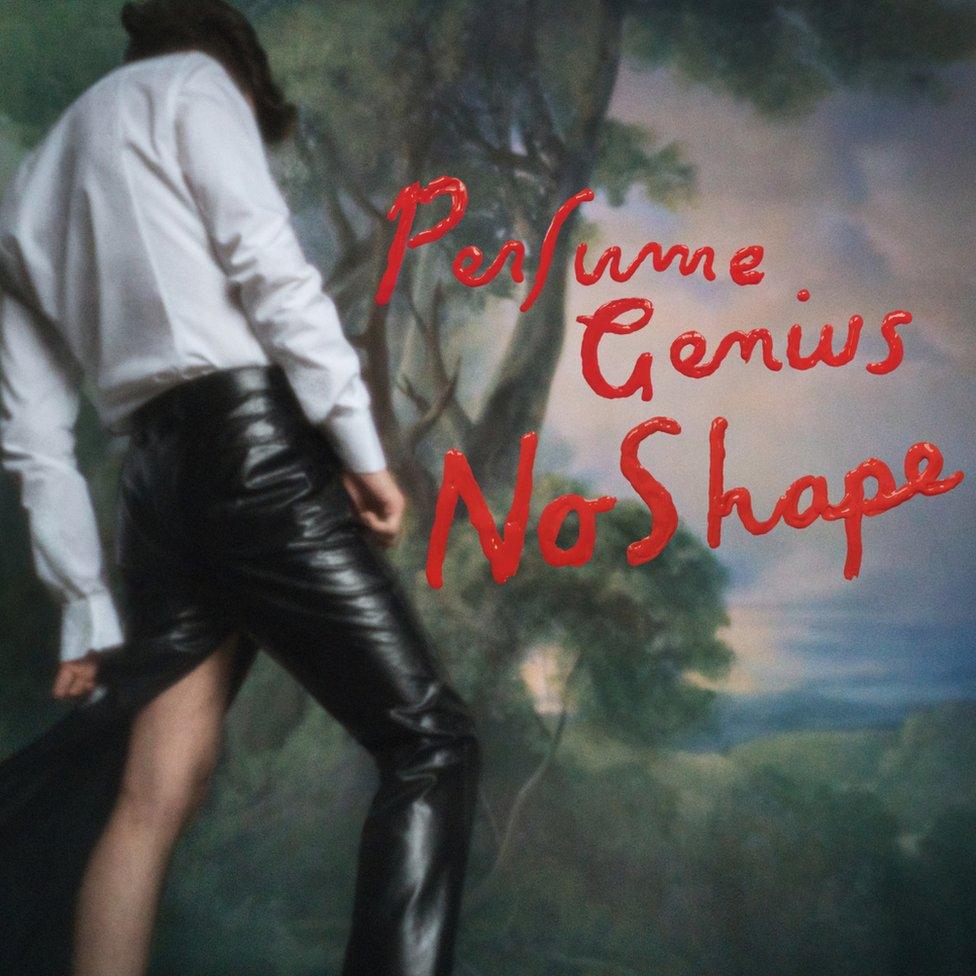 Artwork for No Shape by Perfume Genius