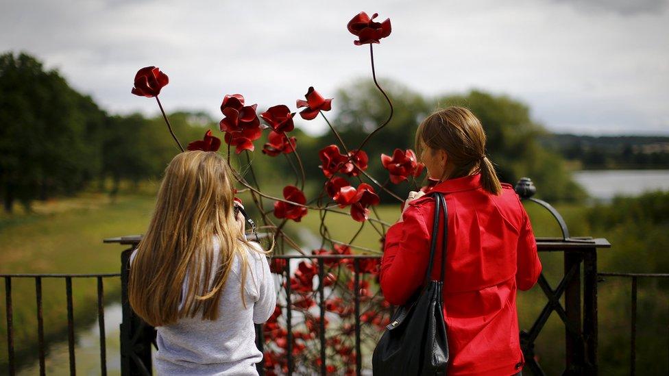 Poppies at Yorkshire Sculpture Park