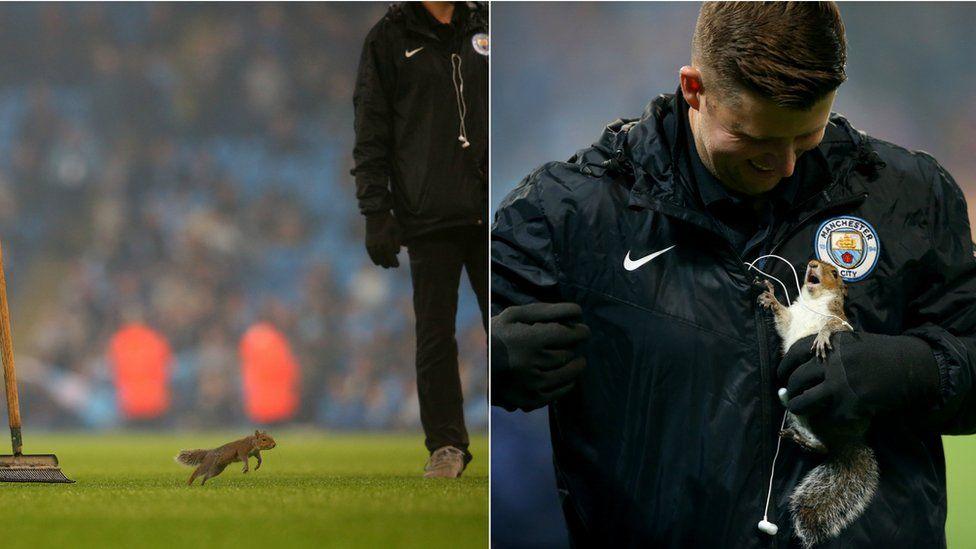 Squirrel running on a pitch and a football player holding a squirrel. 