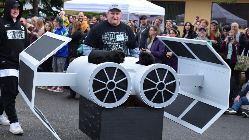 Pugs in Imperial TIE fighter