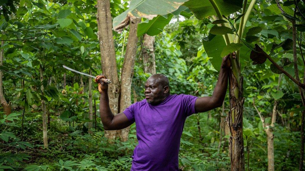 cocoa-farmer.