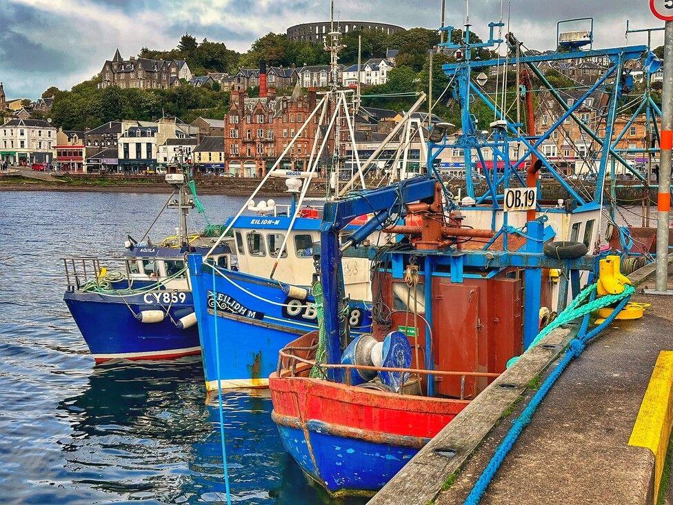 Oban boats 