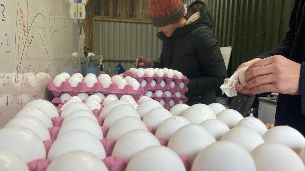 There are thousands of surplus eggs currently at the farm