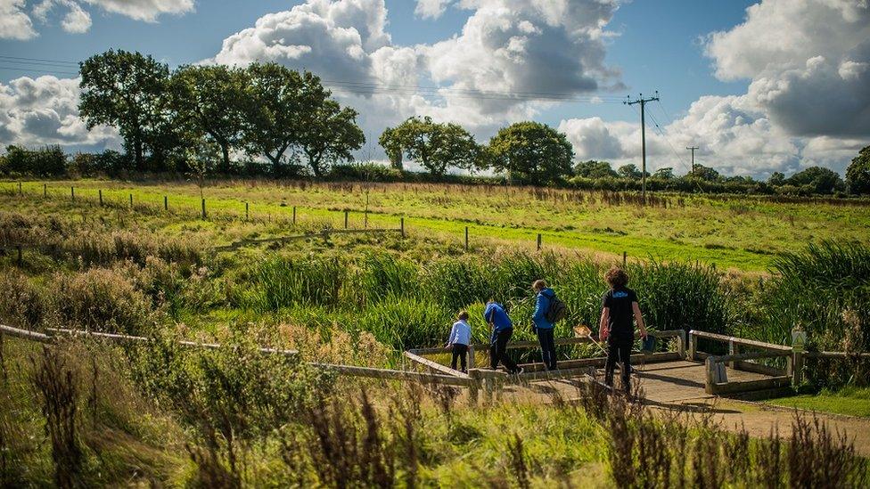 Conservation work by Chester Zoo