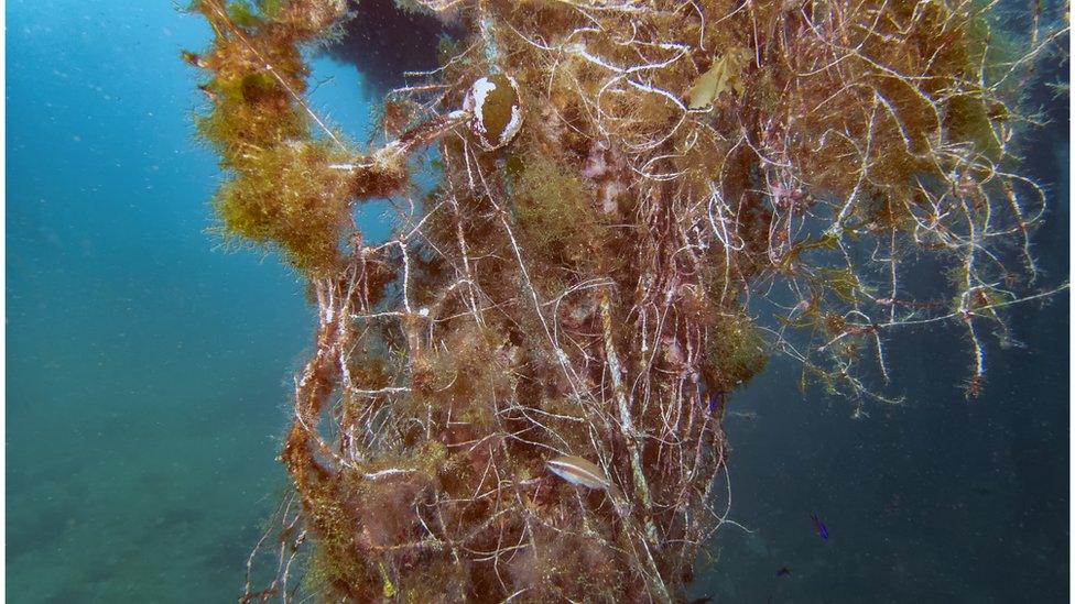 Abandoned fishing gear.