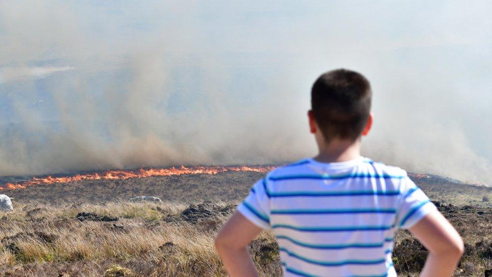 Gorse fire