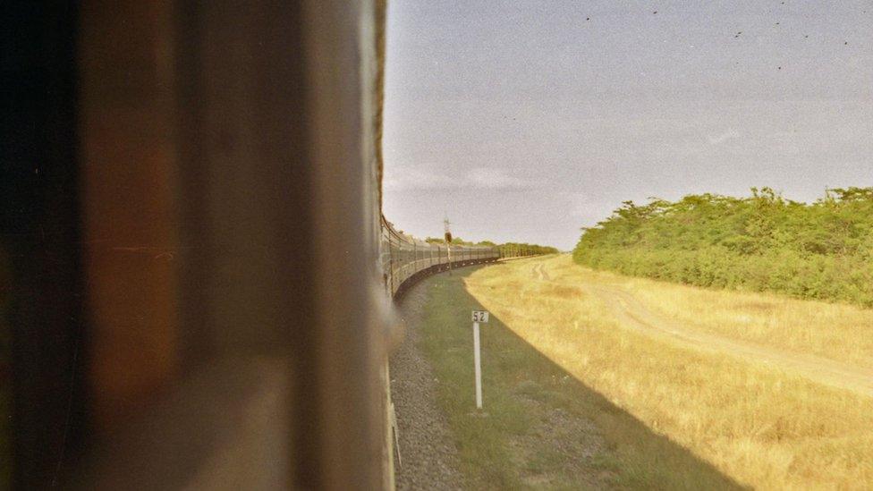 Izyum to Liverpool train journey showing view from train of grass and birds flying