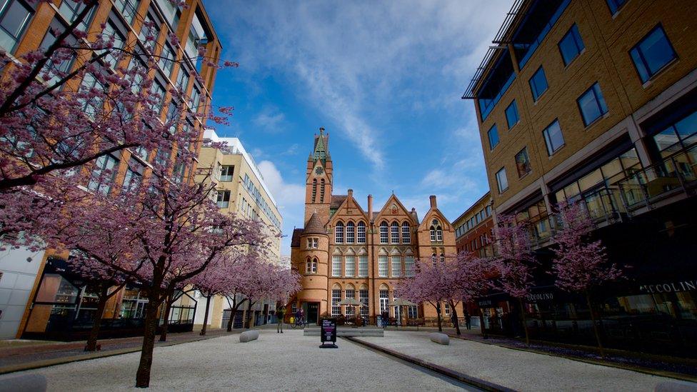 Cherry blossom in Oozells Square