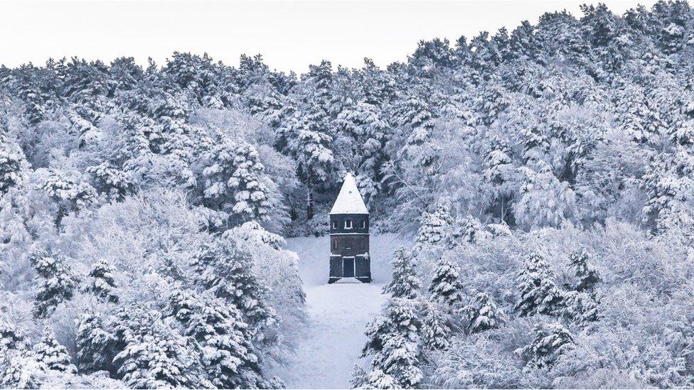 A forest covered in snow at Lyme Park