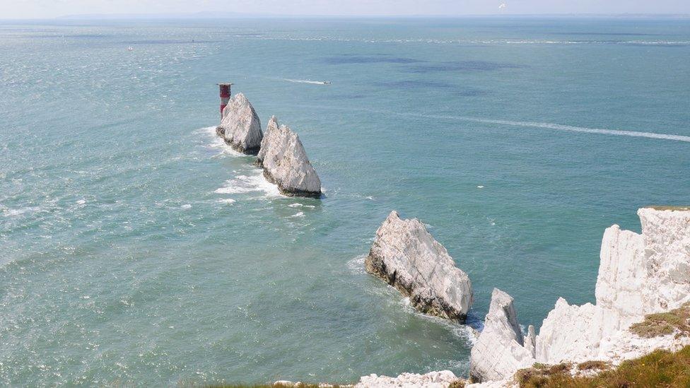 the needles