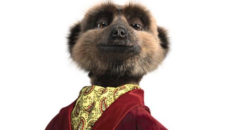 Aleksandr, Compare the Market