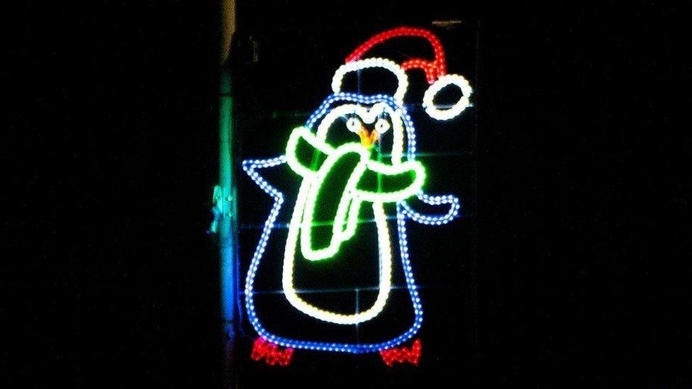 Photo of a penguin Christmas light designed by a pupil at Newburgh primary school