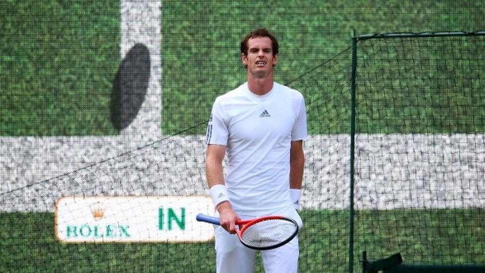 Andy Murray reacts after a decision by Hawk-Eye at Wimbledon in 2013