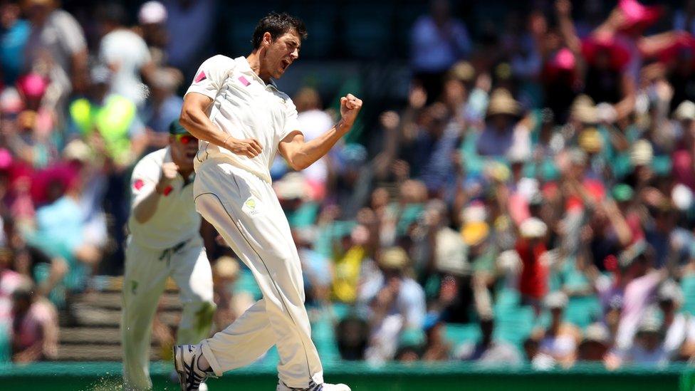 Mitchell Starc claims a wicket at the SCG Test earlier this month