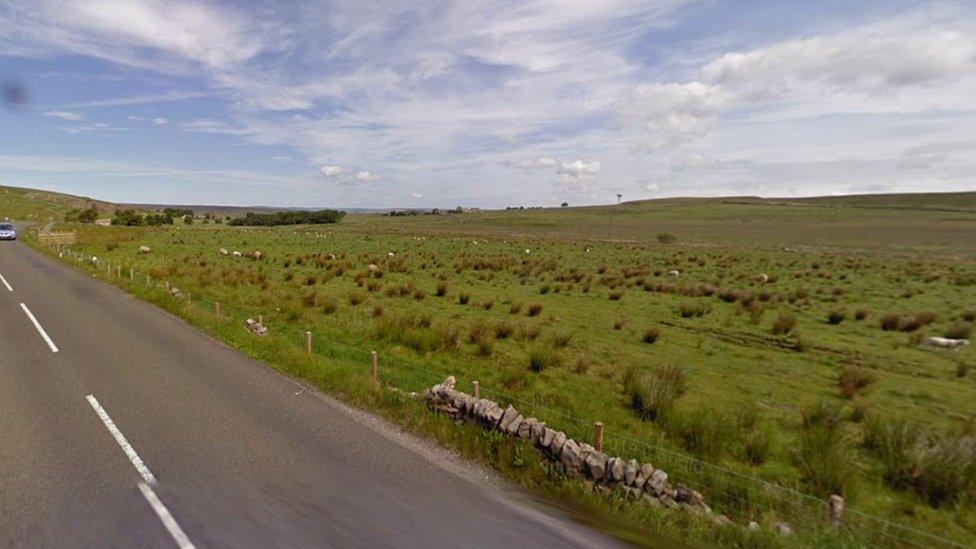 Field next to Duck Street Lane with sheep in it