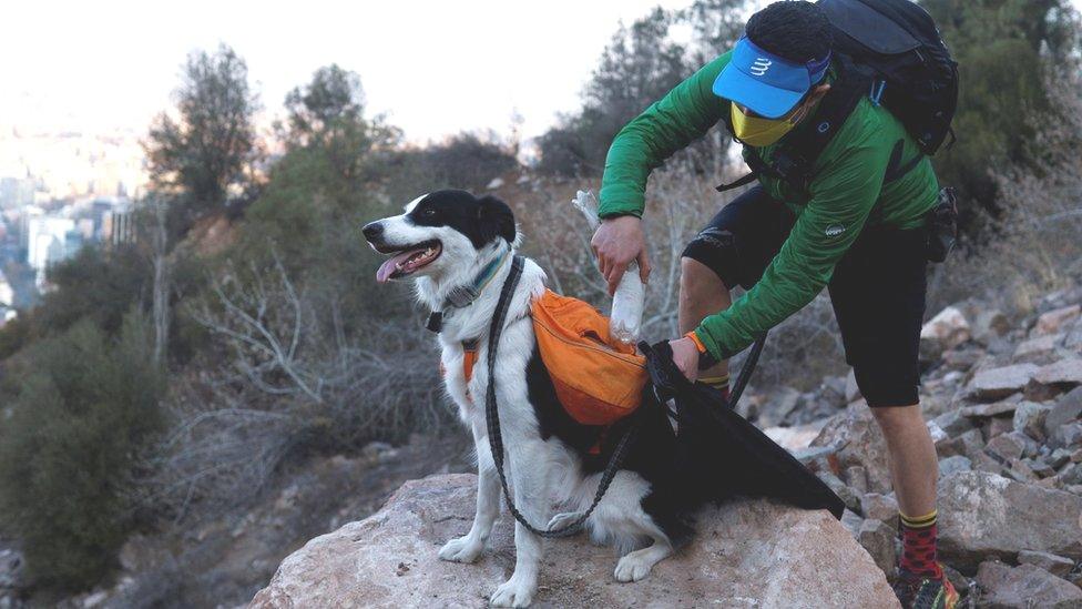 Sam and his owner collecting litter