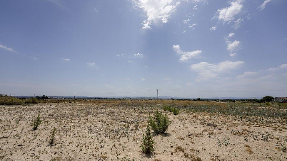 Sandy earth and brush at the proposed site of the Meta Platforms Inc. data center outside Talavera de la Reina, Spain