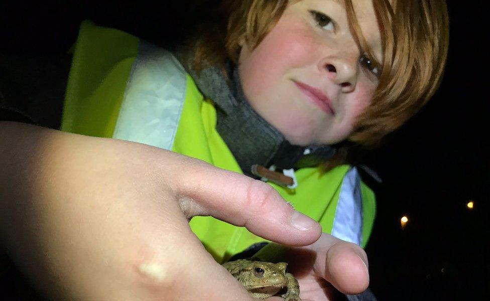 A young boy helping move a toad