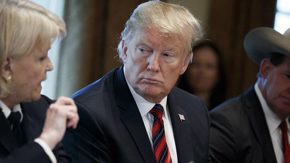 President Trump participates in a roundtable discussion on border security and safe communities in the Cabinet Room of the White House, 11 January 2019