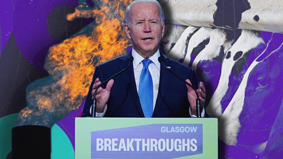 Joe Biden with methane flame and cows in background.