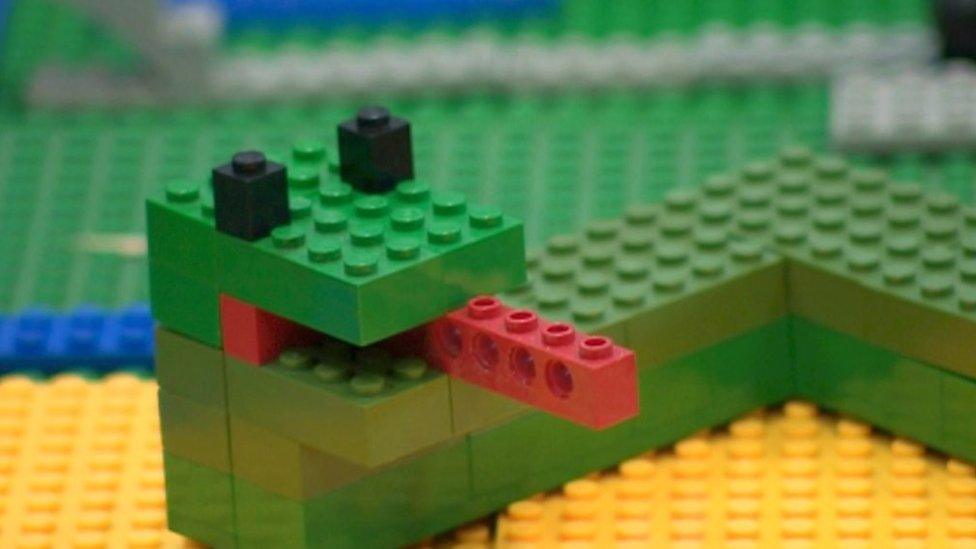 Lego fans spent a week creating a map of a Cambridgeshire wetland to raise money for its conservation.