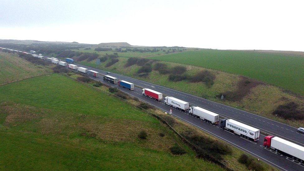 Lorries queue on the A20 at Capel-le-Ferne for the Port of Dover in Kent, on 11 January 2022